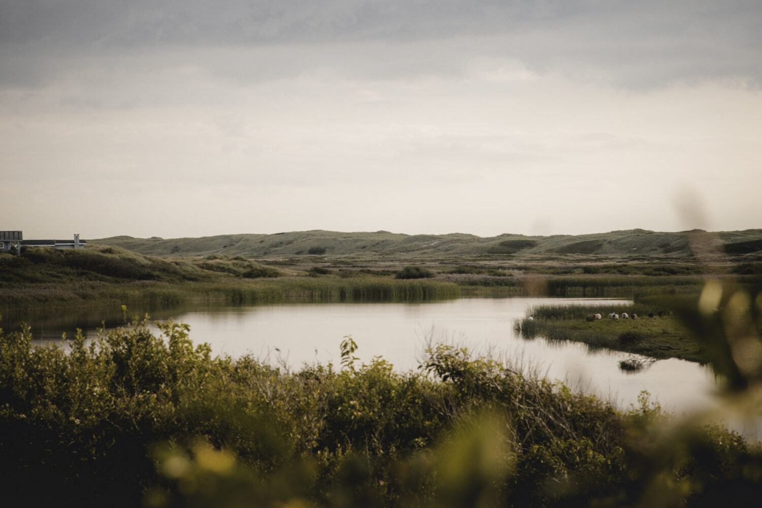 Udsigten fra broen i Nymindegab