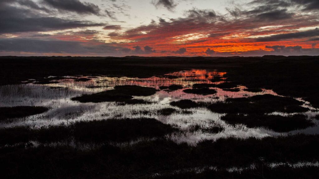 Solnedgang over klitterne ved Ringkøbing fjord