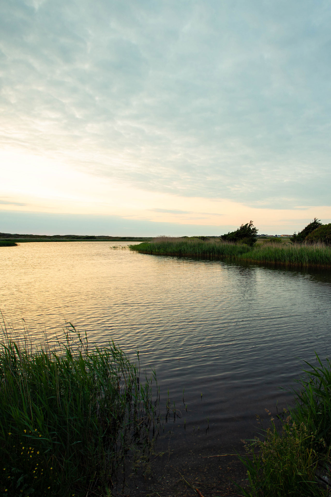 Vestjylland – vand og natur